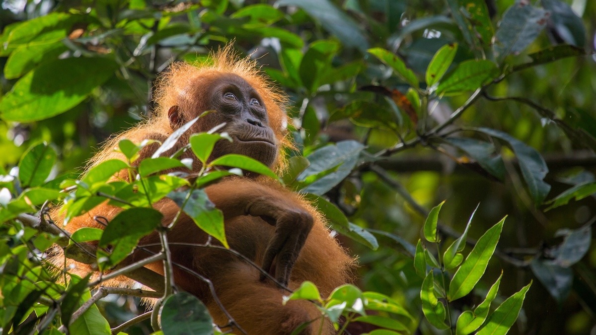 Etix Images 2025-2026 – 2026.04.16 Making of Life On Our Planet