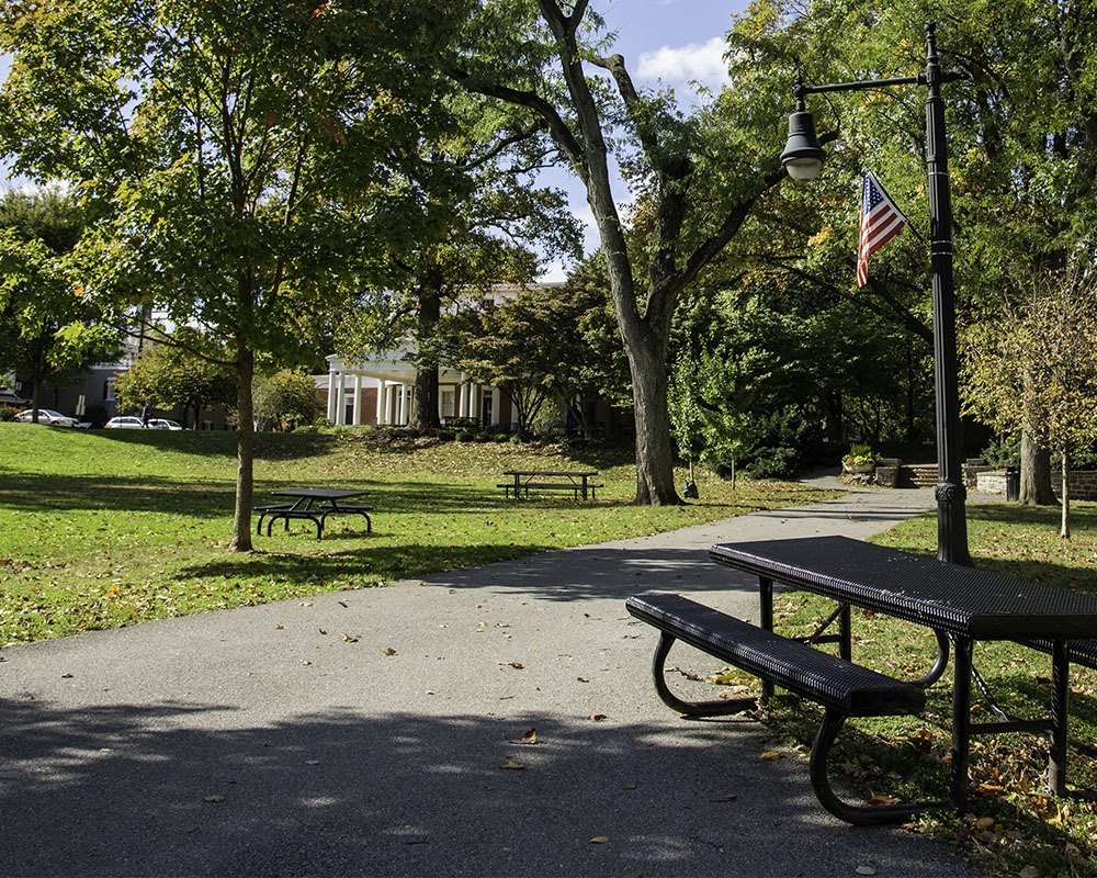 Community Park Picnic Areas